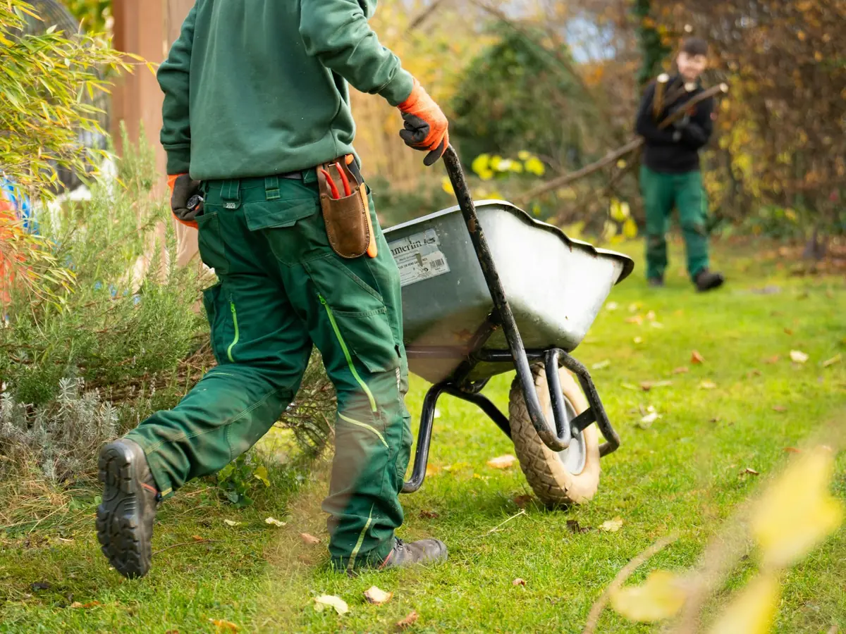 Jardinier poussant une brouette dans un jardin, un collègue travaillant en arrière-plan